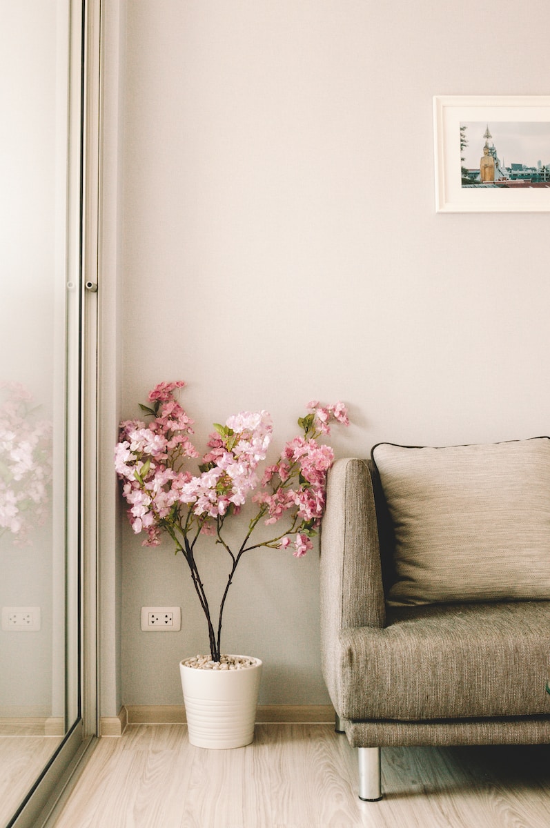 pink flowers beside sofa